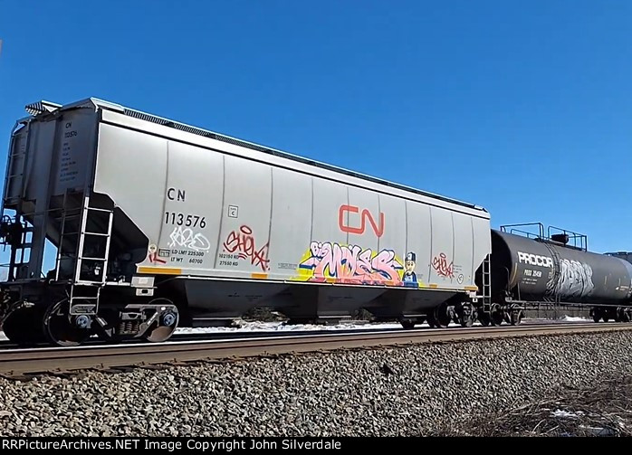 CN 113576